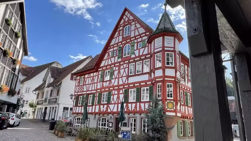 Das Nest