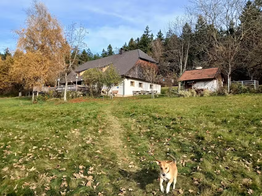 Das Nest