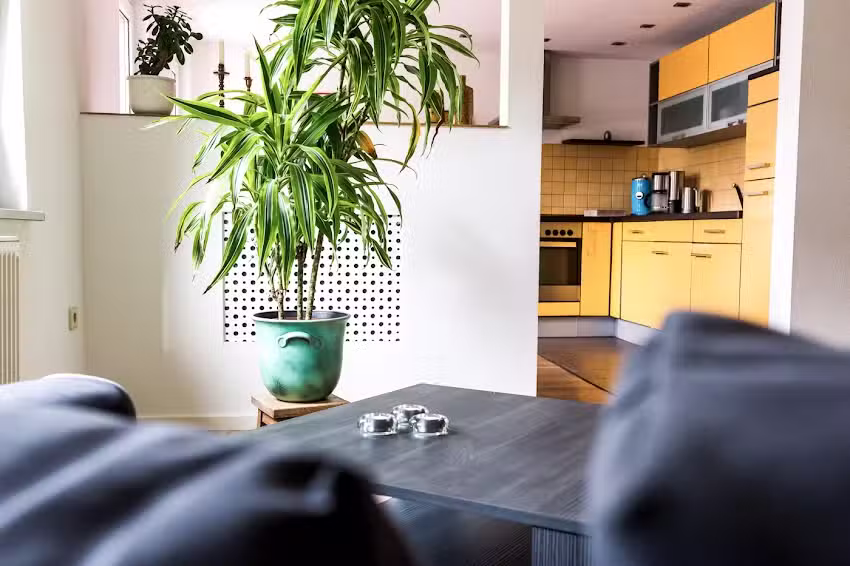 Deine Ferienwohnung bei Dresden