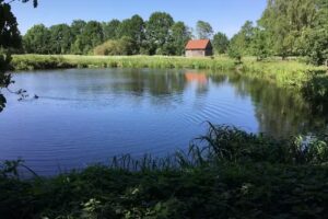 Dele am Deich &ndash; Ferienhaus