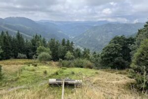 Deluxe-Apartment &sbquo;Feld & Berg&lsquo;