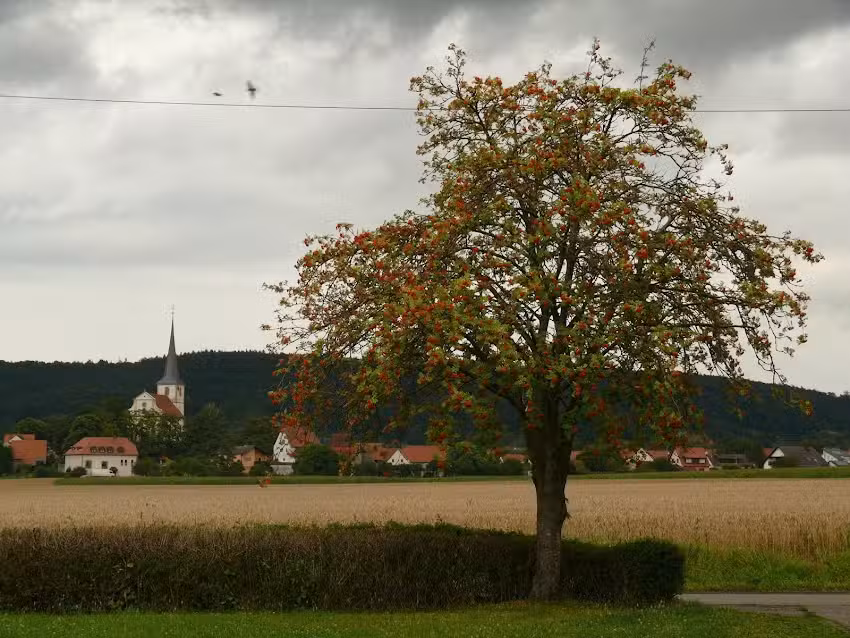 Demeterhof D&uuml;nninger