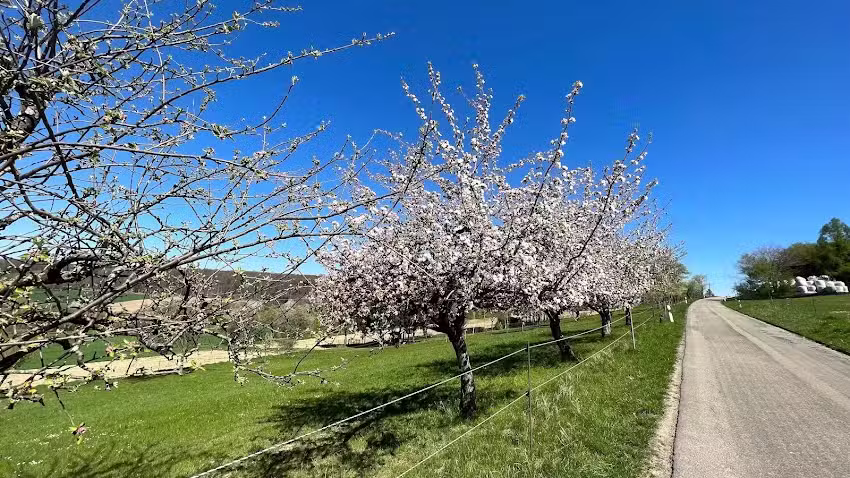Die Gr&uuml;ne Bleibe
