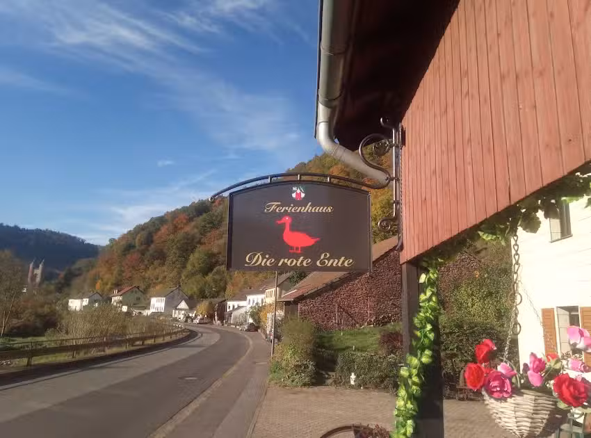 Die rote Ente