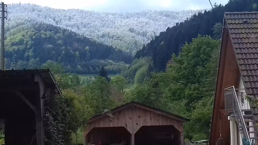 Dischhansenhof
