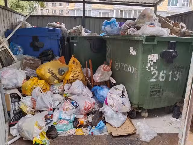 Домиа