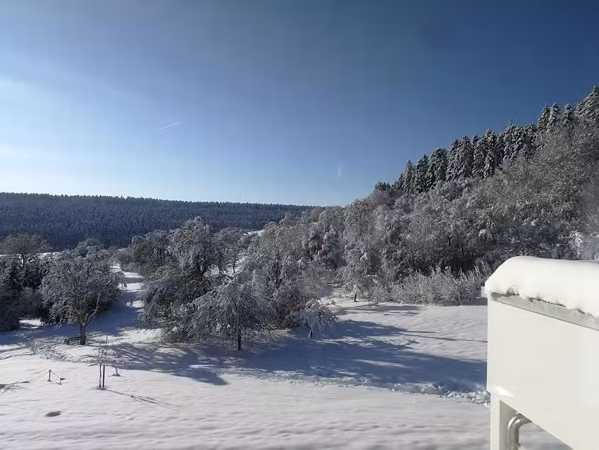 Domizil Schwarzwaldnest