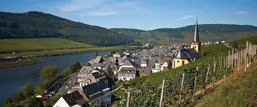 Ehses Hotel-Restaurant