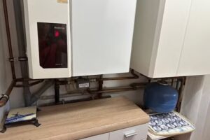 Eifel Ferienwohnung Eichh&ouml;rnchens Waldwiese