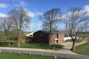 Elbdeich Ferienwohnung