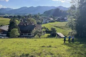 Falltannach