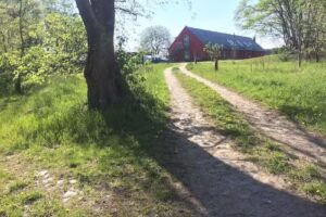 Fasten Yoga Ostsee Insel Usedom Ferien Wandern Fa&szlig;sauna &ndash; pergo
