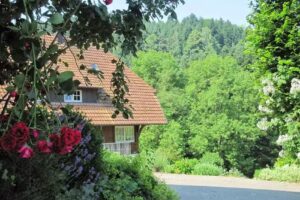 Ferien auf dem Halterhof