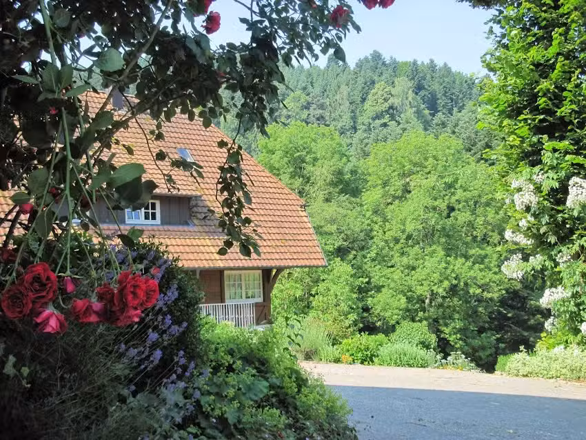 Ferien auf dem Halterhof