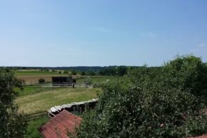 Ferien auf dem Ludwighof