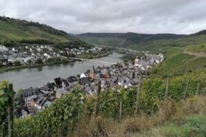 Ferien- und Wellness Weingut Bienert
