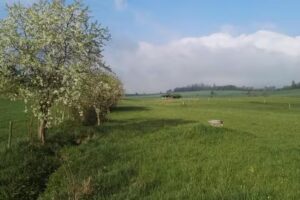 Ferienappartment Allendorf