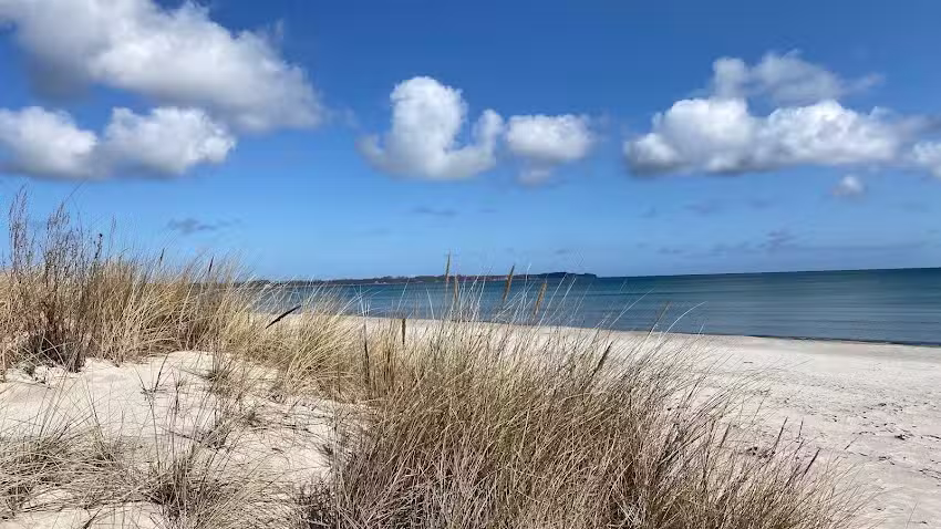 Ferienappartment &bdquo;Bernstein&ldquo;