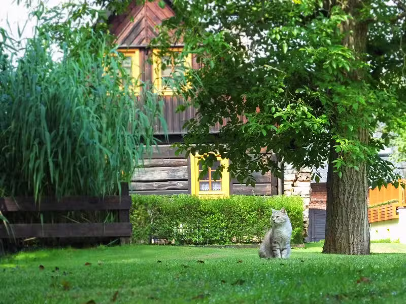 Ferienhaus &bdquo;Alte Stube&ldquo;