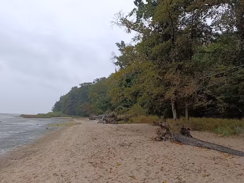 Ferienhaus am Strand