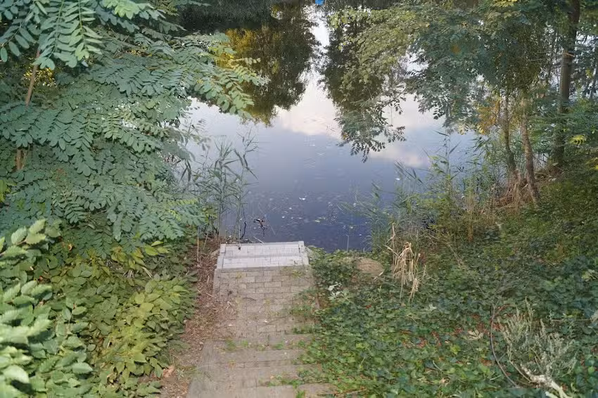 Ferienhaus am Waldsee