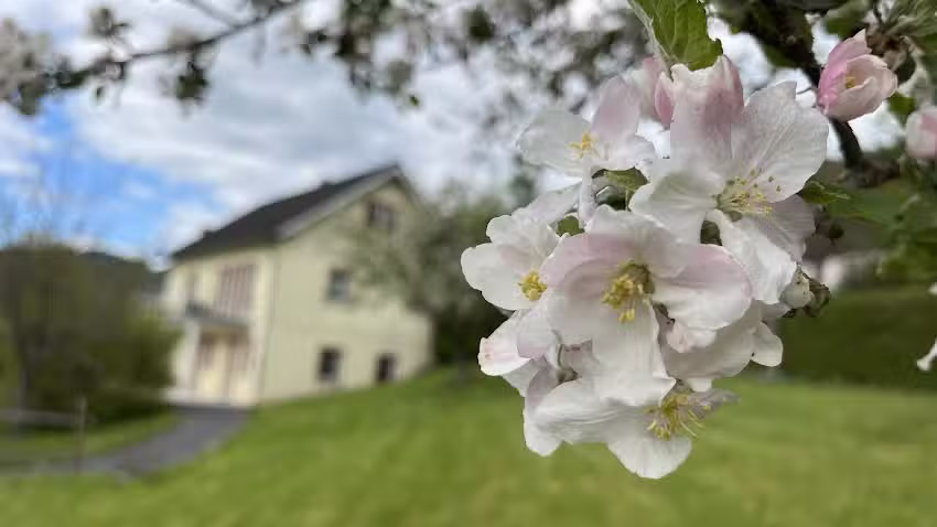 Ferienhaus an der Our