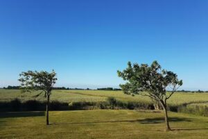 Ferienhaus Arabin
