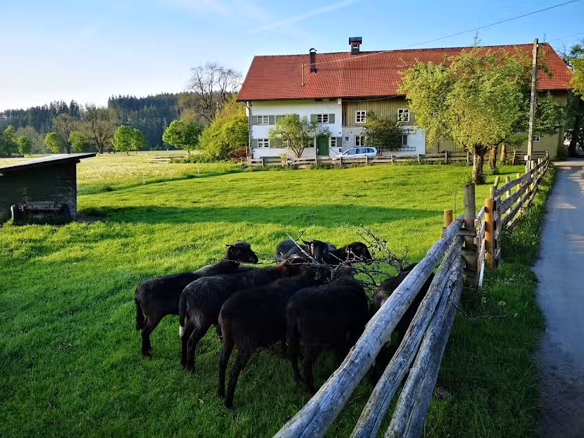 Ferienhaus Bergblick