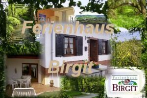 Ferienhaus Birgit Bergfried 5