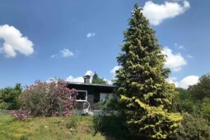Ferienhaus Black+Beauty Willingen