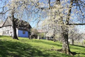 Ferienhaus „Das kleine Glück“