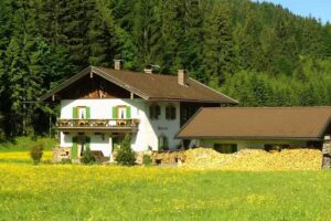 Ferienhaus DER WIESENHOF