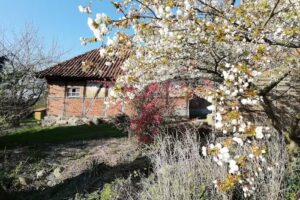 Ferienhaus E.Hamann