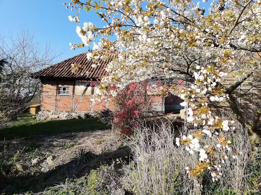 Ferienhaus E.Hamann