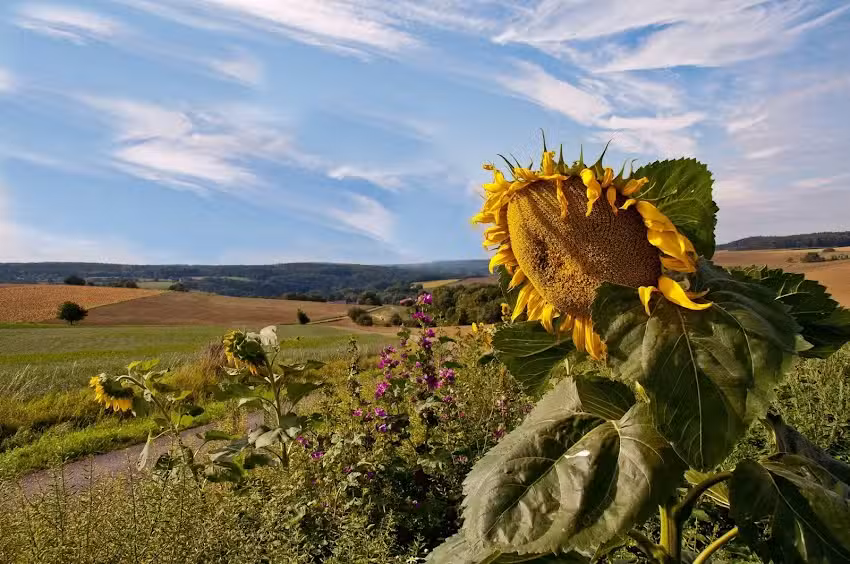 Ferienhaus Haus Erna