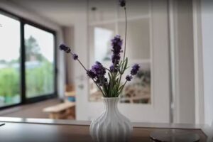 Ferienhaus Hinterm Schilf