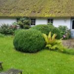 Ferienhaus Hollerbusch