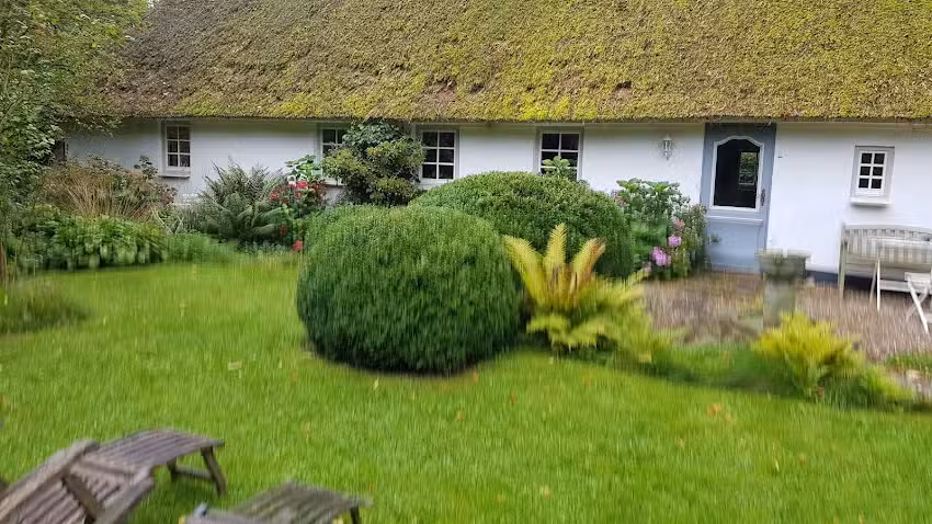 Ferienhaus Hollerbusch