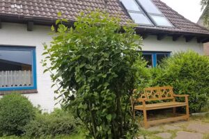 Ferienhaus Hus Stinteck