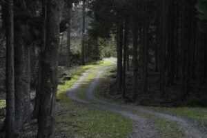 Ferienhaus im Streitbachtal
