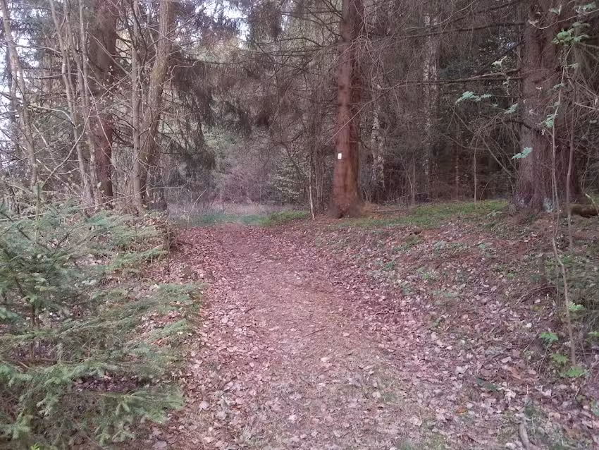 Ferienhaus Klammerfels