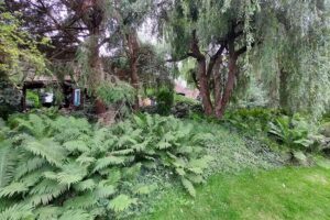 Ferienhaus Moltrecht