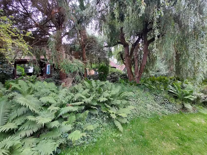 Ferienhaus Moltrecht