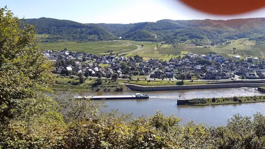 Ferienhaus &bdquo;Mosellanus&ldquo; Bruttig