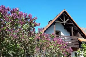 Ferienhaus Oderdeich