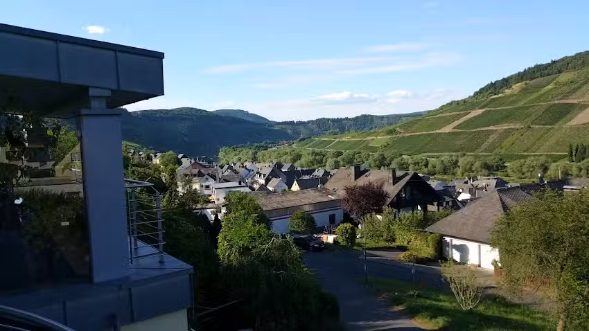 Ferienhaus Panorama Mosel