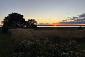 Ferienhaus &bdquo;Reethus-am-Hafen&ldquo;