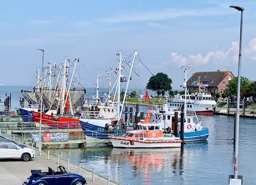 Ferienhaus Seeschwalbe