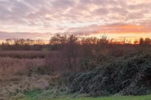 Ferienhaus „Storchenblick No.1“