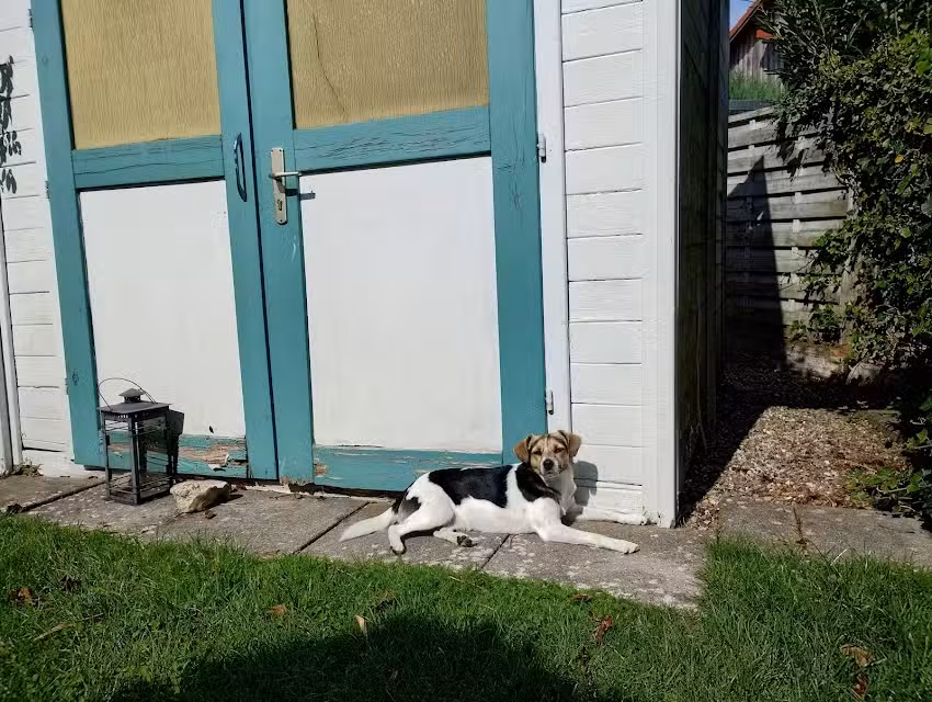 Ferienhaus Strandperle